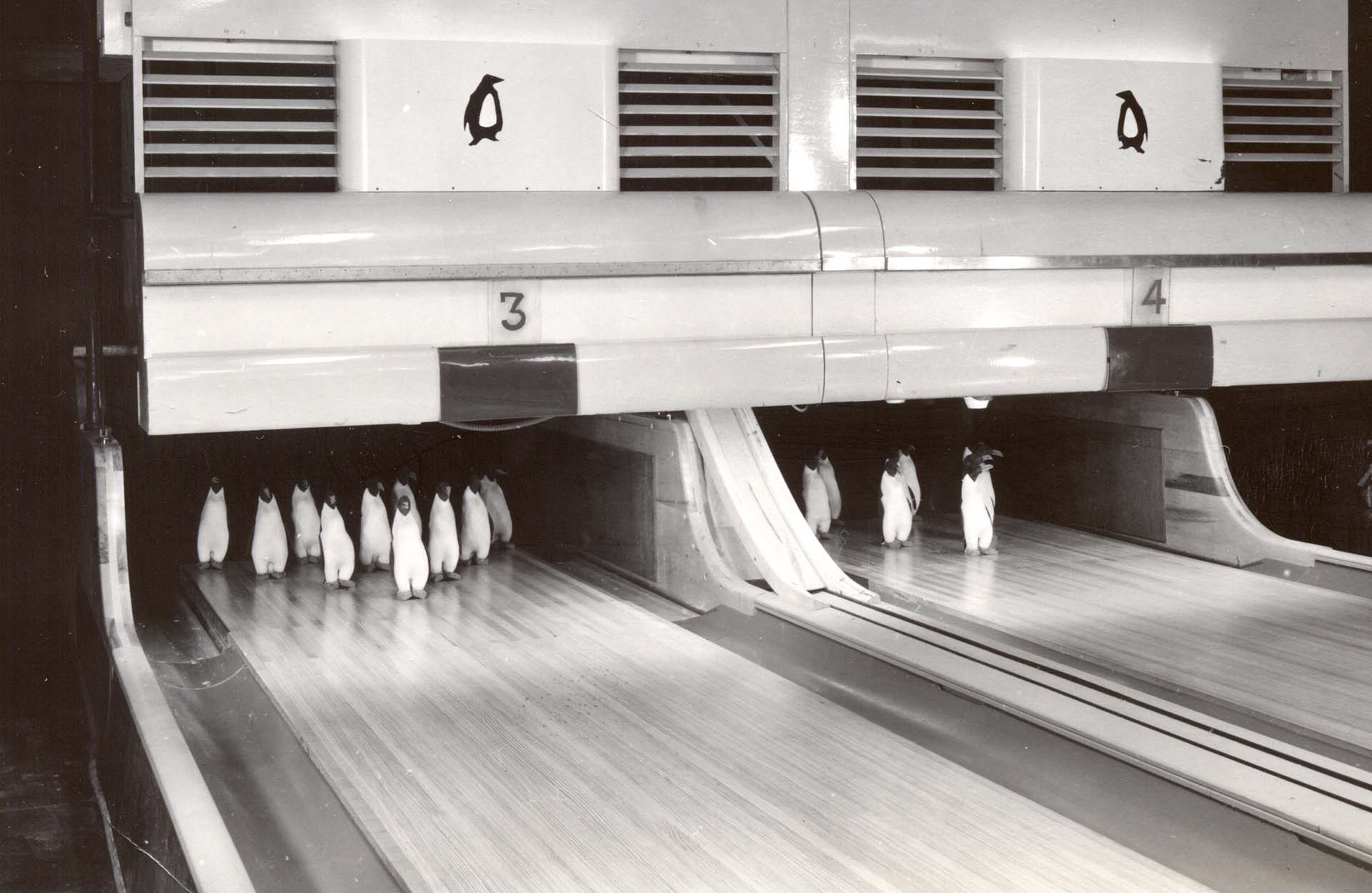 bowling-med-pingviner-macmurdo-station